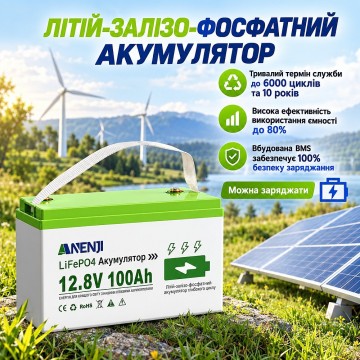 4,2 кВт LiFePO4 Комплект резервного живлення Інвертор Anenji WiFi + 2 акумулятора 12V 100Ah Bluetooth для квартири, будинку