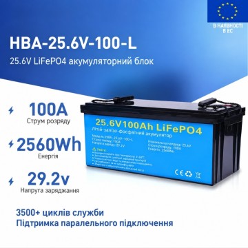 LiFePO4 24V/100Ah Акумулятор Daxtromn з BMS 100 А для систем резервного живлення