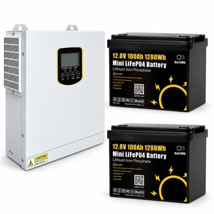 3,5 кВт LiFePO4 Комплект резервного живлення інвертор Daxtromn Power + 2 Акумулятори 12V/100Ah GoKWh Mini для будинку, квартири 3,5 кВт LiFePO4 Комплект резервного живлення інвертор Daxtromn Power + 2 Акумулятори 12V/100Ah GoKWh Mini для будинку, квартири