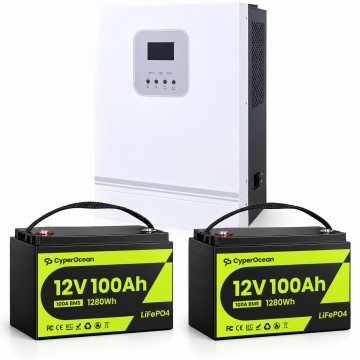 3 кВт LiFePO4 Комплект резервного живлення Інвертор Ameisentech + 2 акумулятора 12V/100Ah CyperOcean з BMS для квартири, будинку