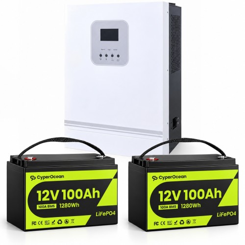 3 кВт LiFePO4 Комплект резервного живлення Інвертор Ameisentech + 2 акумулятора 12V/100Ah CyperOcean з BMS для квартири, будинку