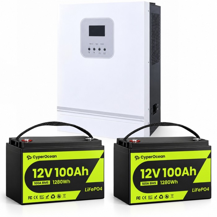 3 кВт LiFePO4 Комплект резервного живлення Інвертор Ameisentech + 2 акумулятора 12V/100Ah CyperOcean з BMS для квартири, будинку 3 кВт LiFePO4 Комплект резервного живлення Інвертор Ameisentech + 2 акумулятора 12V/100Ah CyperOcean з BMS для квартири, будинку