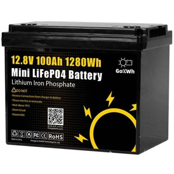 3,5 кВт LiFePO4 Комплект резервного живлення інвертор Daxtromn Power + 2 Акумулятори 12V/100Ah GoKWh Mini для будинку, квартири 3,5 кВт LiFePO4 Комплект резервного живлення інвертор Daxtromn Power + 2 Акумулятори 12V/100Ah GoKWh Mini для будинку, квартири