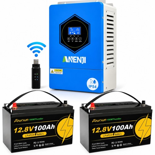 4.2 кВт LiFePO4 Комплект резервного живлення Інвертор Anenji WiFi 24 В з захистом IP54 + 2 акумулятора 12V 100Ah Foursun