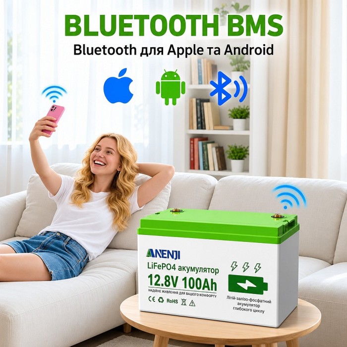 4,2 кВт LiFePO4 Комплект резервного живлення Інвертор Anenji WiFi + 2 акумулятора 12V 100Ah Bluetooth для квартири, будинку 4,2 кВт LiFePO4 Комплект резервного живлення Інвертор Anenji WiFi + 2 акумулятора 12V 100Ah Bluetooth для квартири, будинку