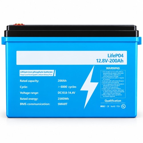 LiFePO4 12V/200Ah Акумулятор Dipower для резервного живлення будинку, квартири з BMS