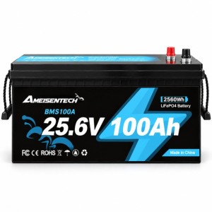 LiFePO4 25.6V 100Ah Акумілятор Ameisentech BMS, для для резервного живлення будинку, квартири