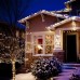 Гірлянда LED-ланцюг LightZone 10 кульок (золотисті) 2,25м на батарейках